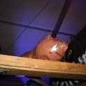 IMG_2886