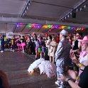 IMG_6265