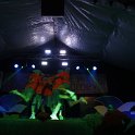 _MG_4142