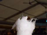 DSC_6881.JPG
